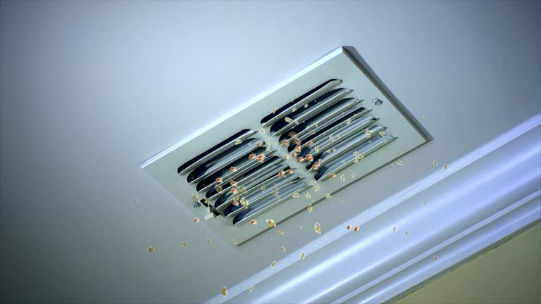Best Professional Duct Cleaning Services  in Randolph Af, TX